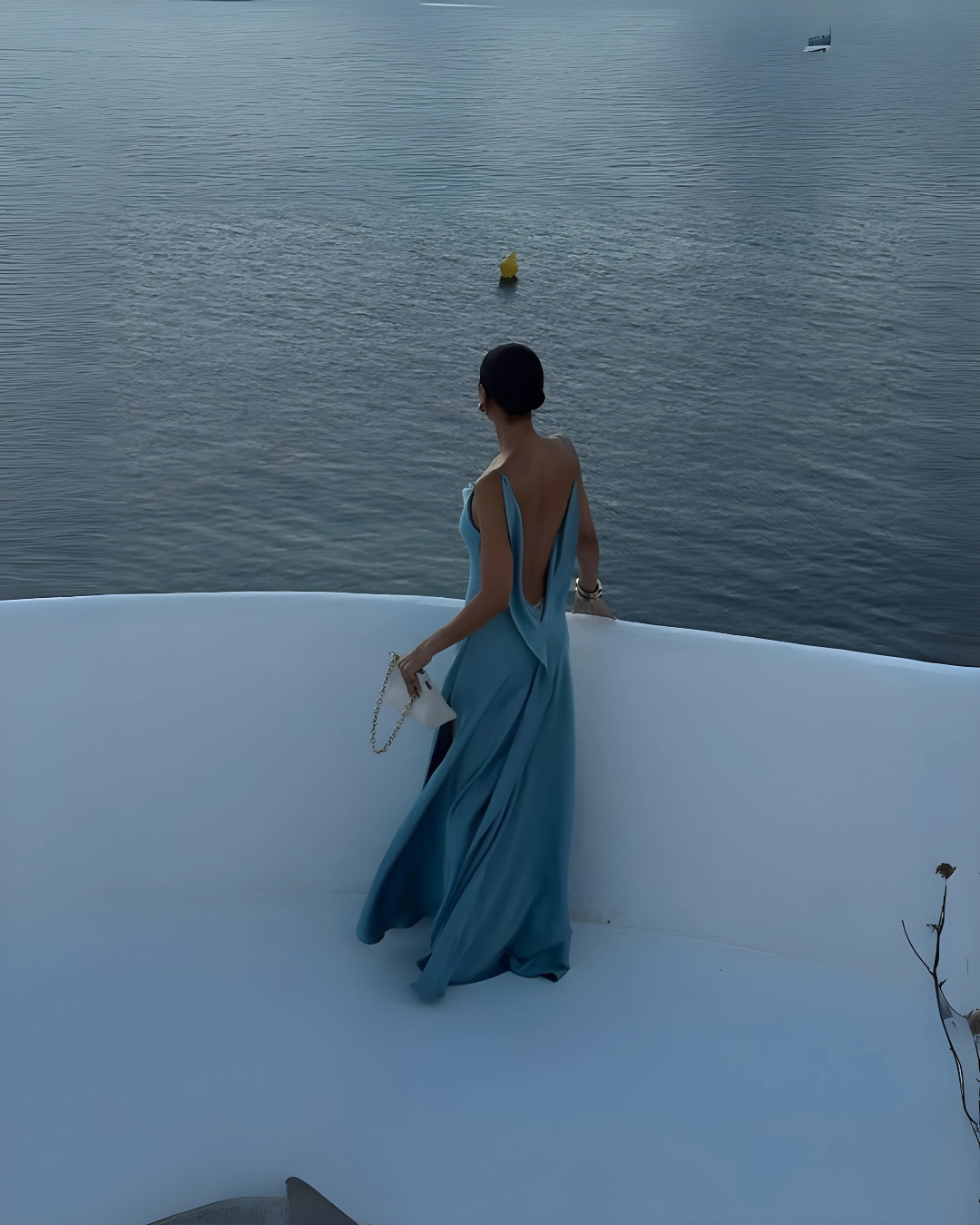 Elegant Dress Avéna